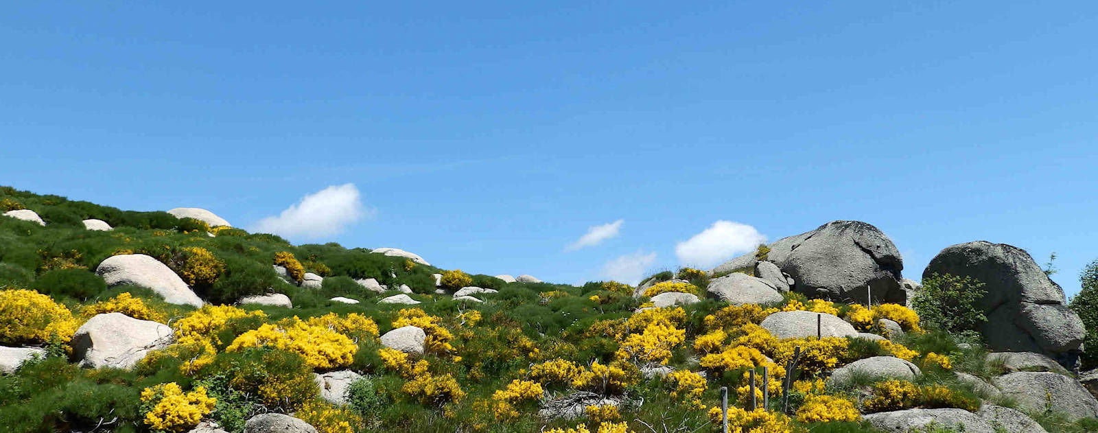 Le Mont Lozère