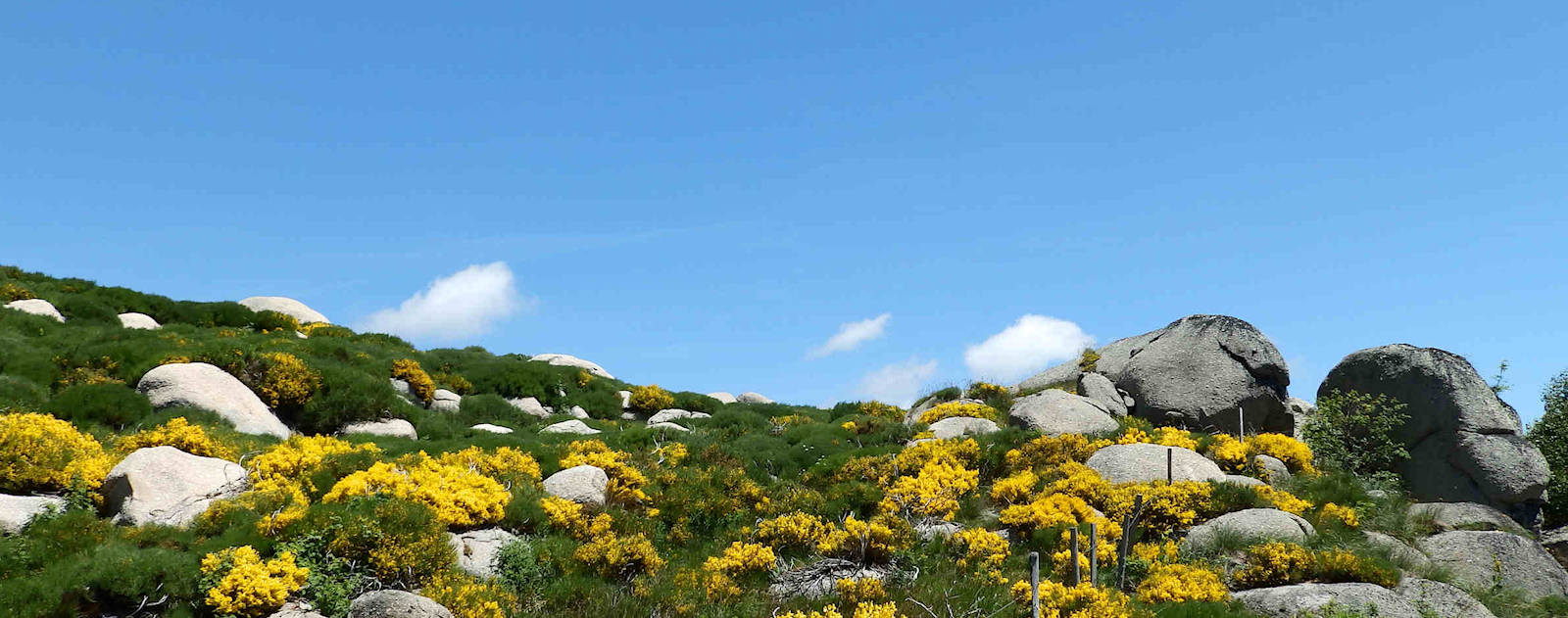 Le Mont Lozère